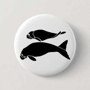 Manatees Knapp