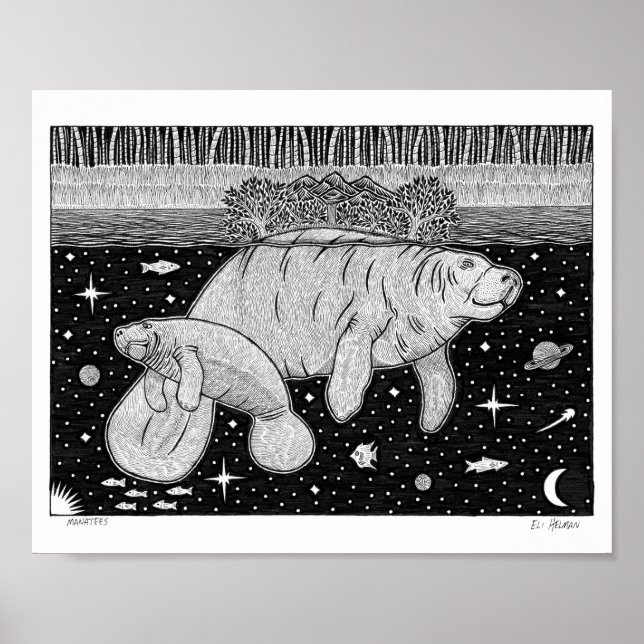 Manatees Poster (Framsidan)
