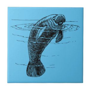 Manateg keramisk platta kakelplatta