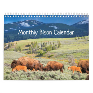 Månatlig Bison Calendar - National Parker Edition Kalender