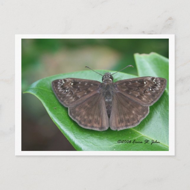 Månatliga avsikter vykort (Framsida)