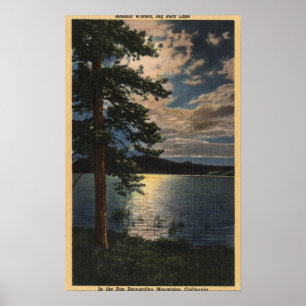 Månbelyst beskåda av sjön poster