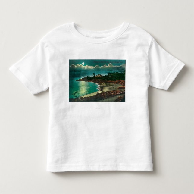 Månbelyst beskåda av Vuen de l'EauSanta Cruz, CA T Shirt (Framsida)