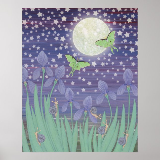 månbelysta stjärnor, lunadter, snigel och iriser poster (Framsidan)