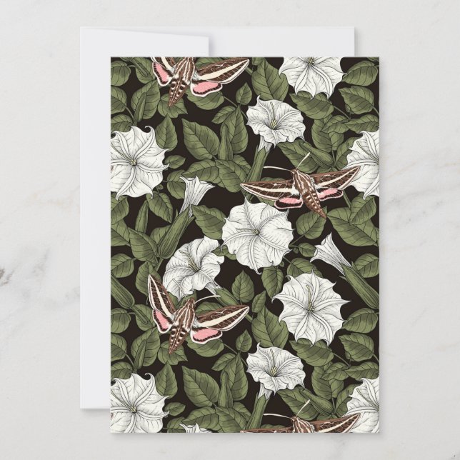 Månblommor och sfinxmånader (Framsida)