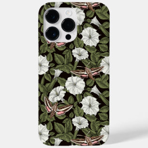 Månblommor och sfinxmånader
