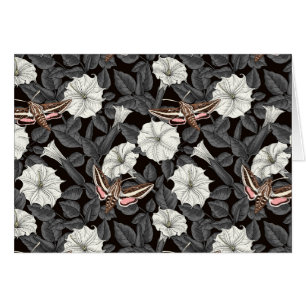 Månblommor och sfinxmånader 2 hälsningskort