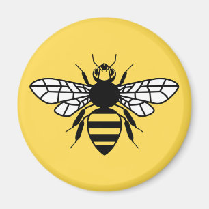 Manchester bi magnet