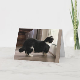 Manchester har ett servitut kort