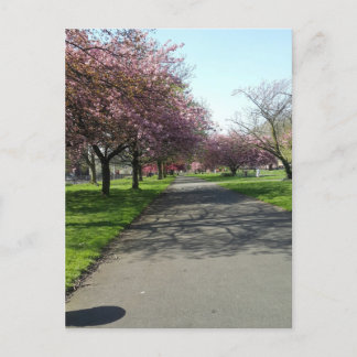 Manchester i Vår Vykort