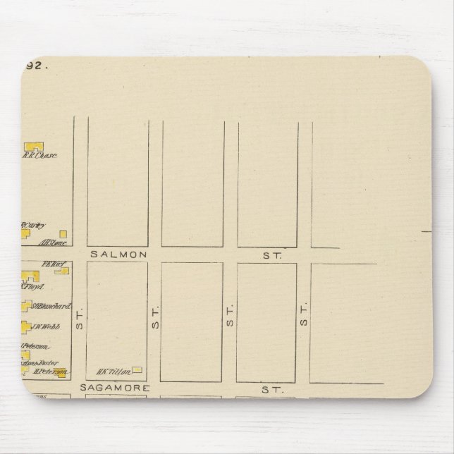 Manchester, NH, Ward 1 Musmatta (Framsidan)