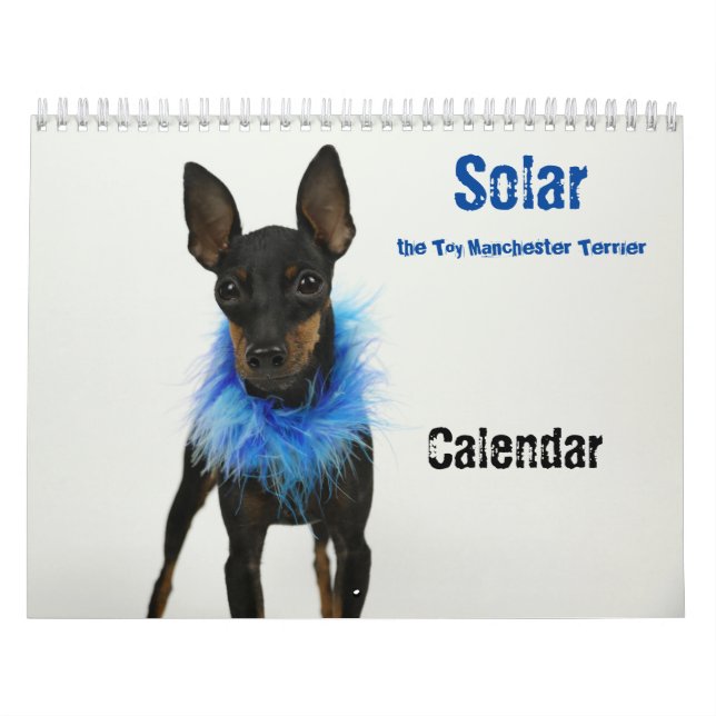 Manchester Terrier Calendar 2021 B Kalender (Omslag)