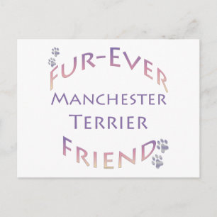 Manchester Terrier Furever Vykort