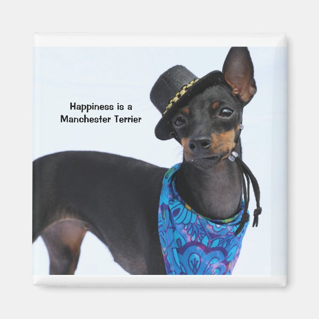 Manchester Terrier Happiness Magnet (Framsidan)