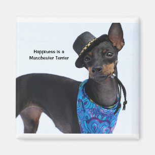 Manchester Terrier Happnet Magnet