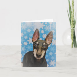 Manchester Terrier-Helgdag Kort