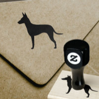 Manchester Terrier Hund aveln Silhouette