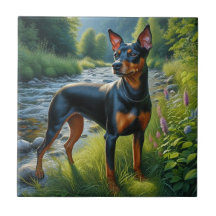 Manchester Terrier