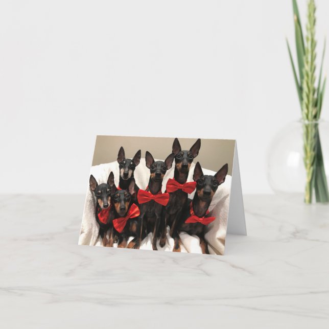 Manchester Terrier-kort Tack Kort (Framsida)