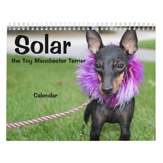 Manchester Terrier Medium 2021 Calendar A Kalender (Omslag)
