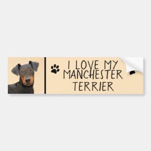 Manchester Terrier Painting Original Animal Art Bildekal