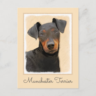 Manchester Terrier Painting Original Animal Art Vykort