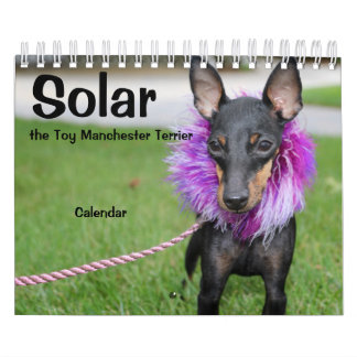 Manchester Terrier Small 2021 Calendar A Kalender