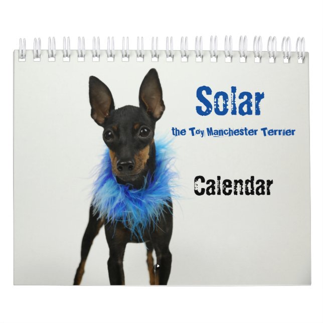 Manchester Terrier Small Calendar Kalender (Omslag)