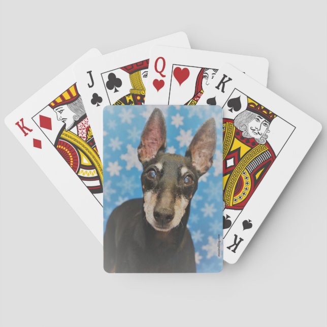 Manchester Terrier-spelkort Casinokort (Baksidan)