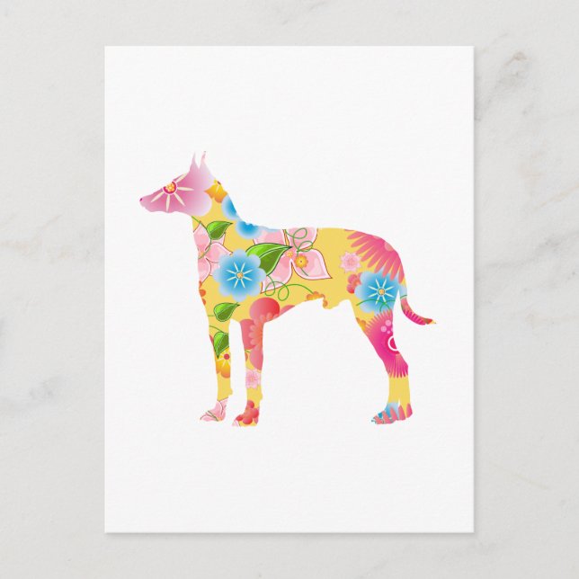 Manchester Terrier Vykort (Framsida)