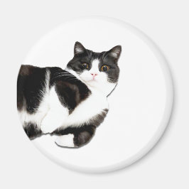 Manchesters "Hej!" Magnet