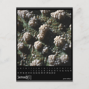 Måndag 2010-kalender vykort