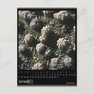 Måndag 2010-kalender vykort