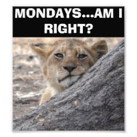 Måndagar - Är jag Höger Poster