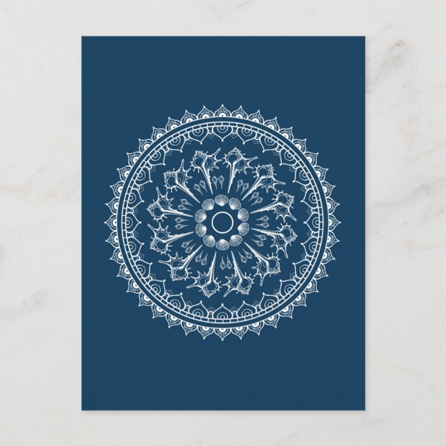Mandala av Seashells Vykort (Framsida)