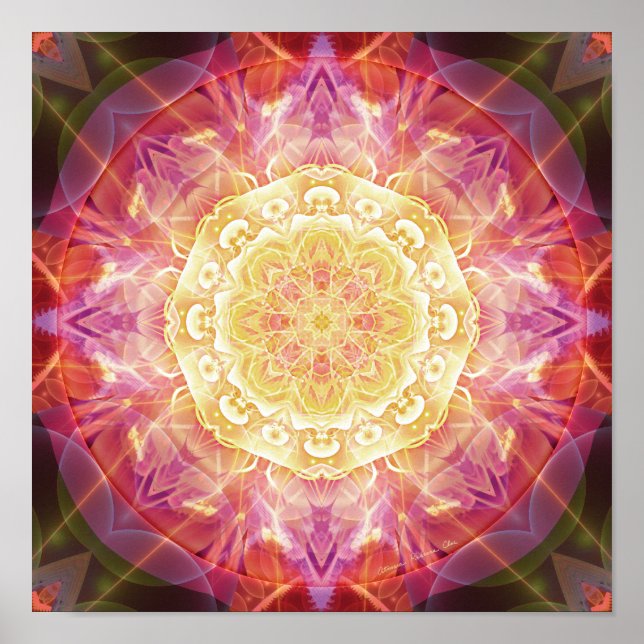 Mandalas för förlåtelse och lansering 9 Poster (Framsidan)