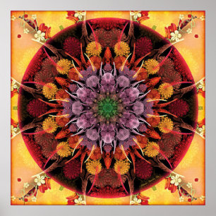 Mandalas för tider av affischen för övergång 6 poster