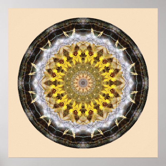 Mandalas från fredens hjärta, nr 11 poster (Framsidan)