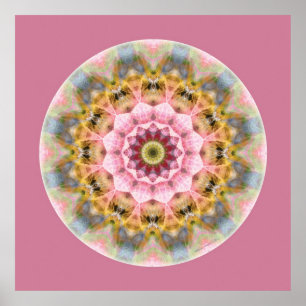 Mandalas från hjärtan av omformning, nr. 1 poster