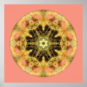 Mandalas från hjärtan av omformning, nr. 4 poster