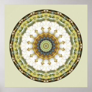 Mandalas från hjärtat av freden, nr 5 poster