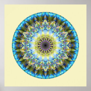 Mandalas från omvandlingens hjärta, nr 8 poster