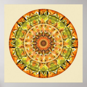 Mandalas of Deep Trust, nr 10 Poster