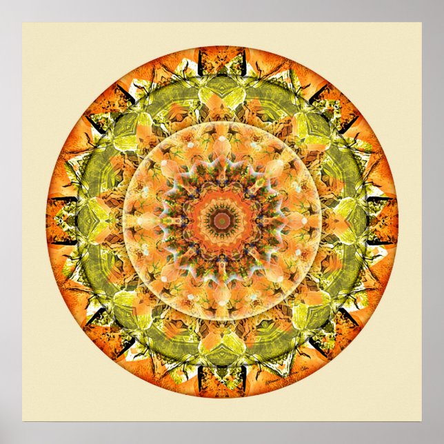 Mandalas of Deep Trust, nr 10 Poster (Framsidan)