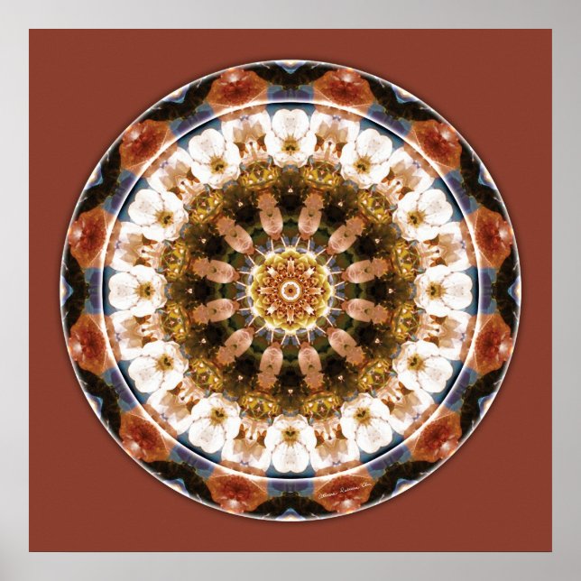 Mandalas of Deep Trust, nr 11 Poster (Framsidan)