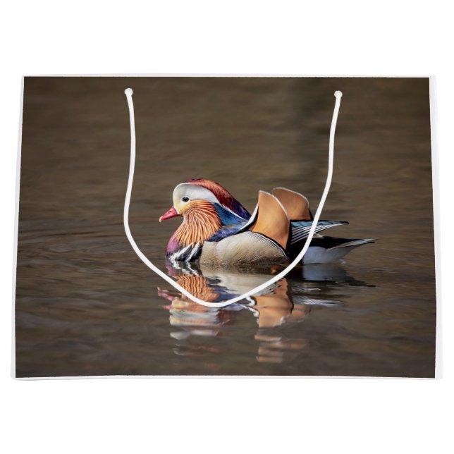 Mandarin Anka (Framsidan)