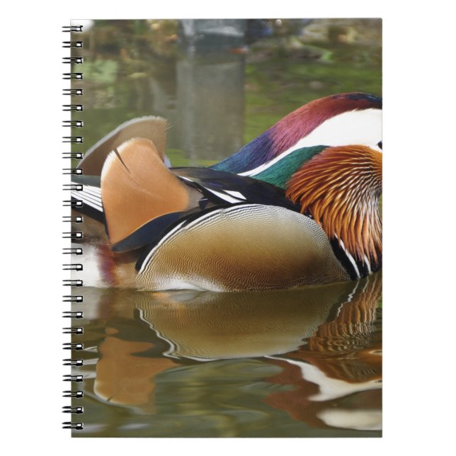 mandarin anka anteckningsbok (Framsidan)
