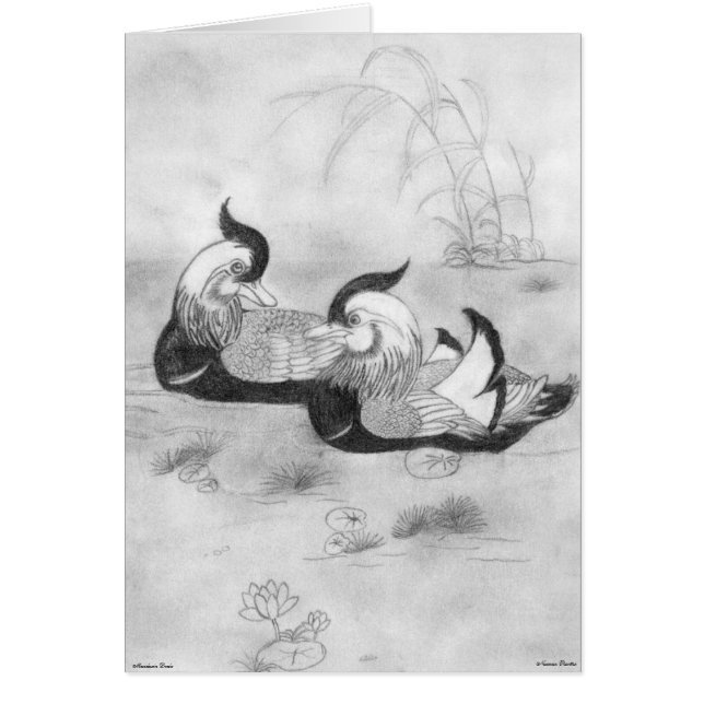 Mandarin Anka Card Hälsningskort (Framsidan)