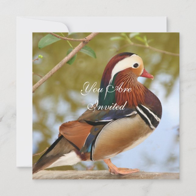 Mandarin Anka Inbjudningar (Framsida)