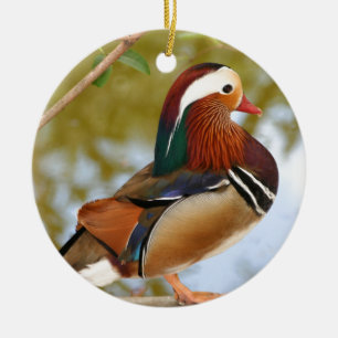 Mandarin Anka Julgransprydnad Keramik